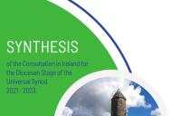 Synthesis Document of the Consultation in Ireland