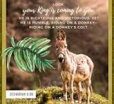 Fourteenth Sunday in Ordinary Time