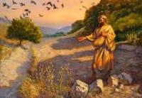 Fifteenth Sunday in Ordinary Time