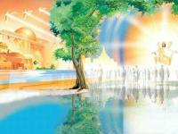 Twenty-first Sunday in Ordinary Time