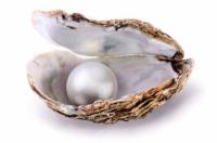 Seventeenth Sunday in Ordinary Time