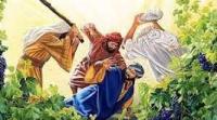 Twenty-seventh Sunday in Ordinary Time